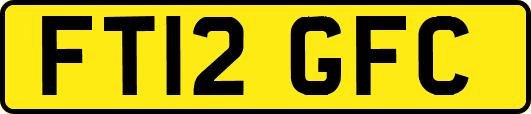 FT12GFC