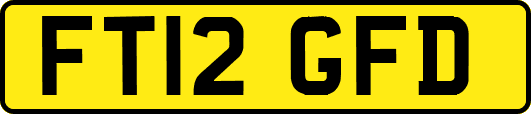 FT12GFD