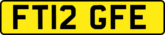 FT12GFE