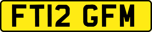 FT12GFM