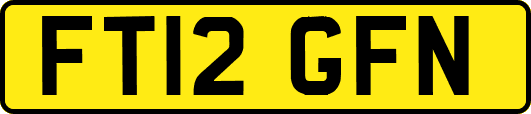 FT12GFN