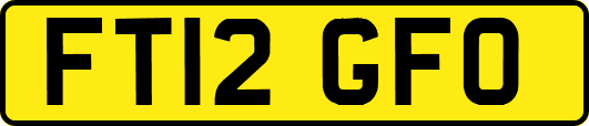 FT12GFO