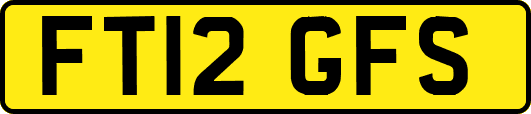 FT12GFS