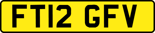 FT12GFV