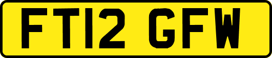 FT12GFW