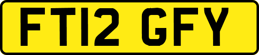 FT12GFY