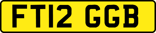 FT12GGB