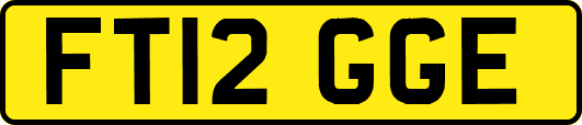FT12GGE