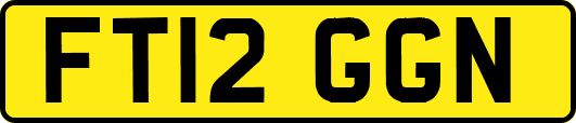FT12GGN