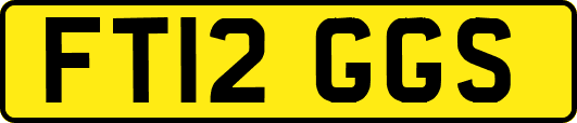 FT12GGS