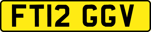 FT12GGV