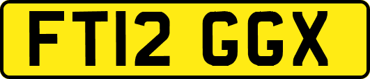 FT12GGX