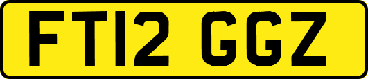 FT12GGZ