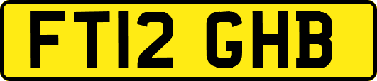 FT12GHB