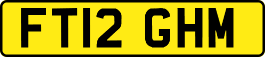 FT12GHM