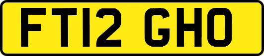 FT12GHO