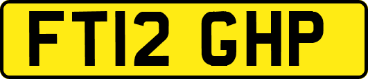 FT12GHP
