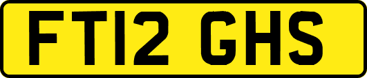 FT12GHS