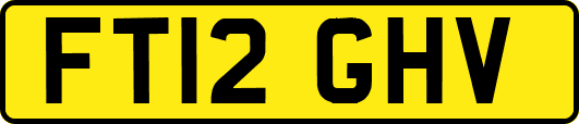 FT12GHV