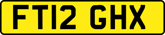 FT12GHX