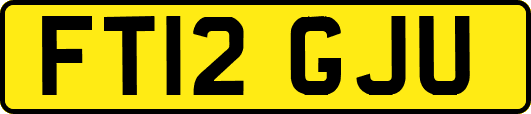 FT12GJU
