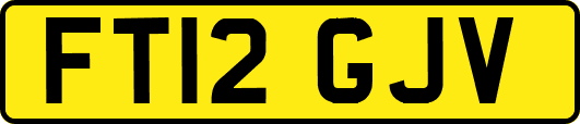 FT12GJV