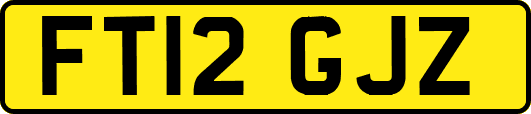 FT12GJZ