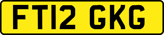 FT12GKG