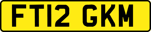 FT12GKM