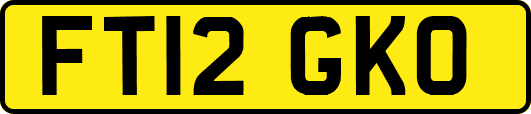 FT12GKO