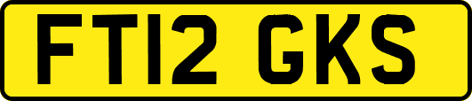 FT12GKS