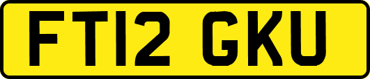 FT12GKU