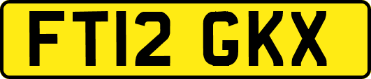 FT12GKX
