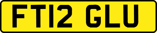FT12GLU