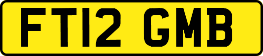 FT12GMB
