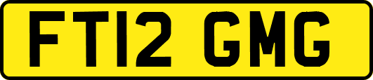 FT12GMG