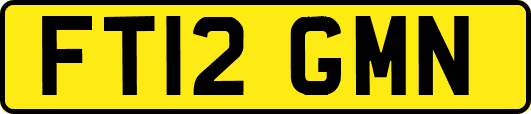 FT12GMN
