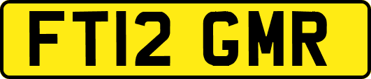 FT12GMR