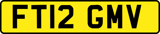 FT12GMV