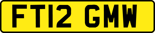 FT12GMW