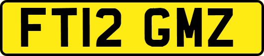 FT12GMZ
