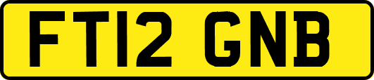 FT12GNB