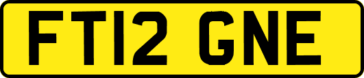 FT12GNE