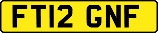 FT12GNF