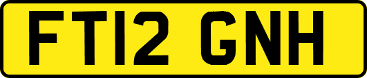 FT12GNH