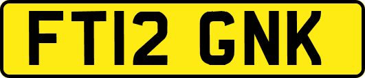 FT12GNK