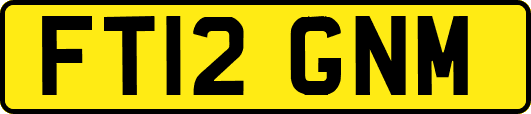 FT12GNM