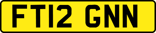 FT12GNN