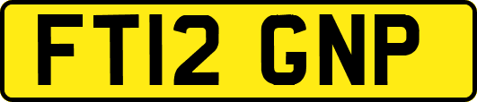 FT12GNP