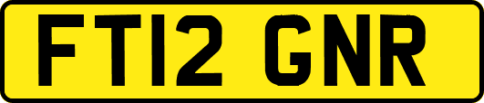 FT12GNR